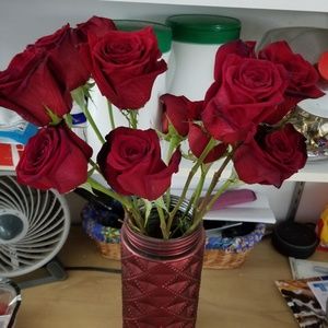 Meet your Posher, Patricia